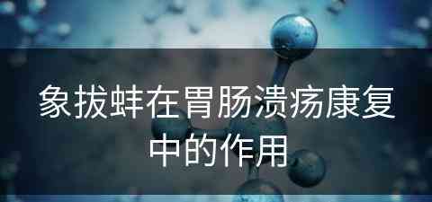 象拔蚌在胃肠溃疡康复中的作用